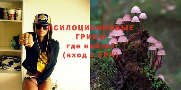 таблы Осташков